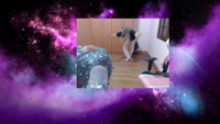 04-jbryEwwz.mp4