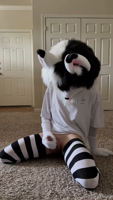 0i7mo5013l52ea2un2pje_1280-vh5NDCOO.mp4