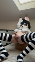 0iclmhssg2j835r0uorri_1920-lGmUpTIR.mp4