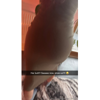 1242x2206_bb5360b7e11d8c811d87499f0960537c-MPgmBLAd.jpg