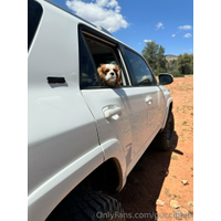 1536x2049_19d2cf31eac38ff940529c86f6f8f871-N3OCb1U8.jpg