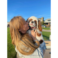 1536x2049_2eef07ef74d88c2d8fa75a5d10d576a4-U6aTDm2f.jpg