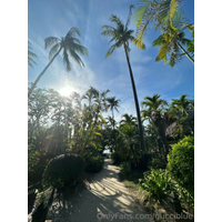 1536x2049_3480cc57a1fafe2bf98feb02481c5e98-dJ7zXYtx.jpg