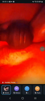 2025_02_02_00_25_08~2-jDxPFPxe.mp4