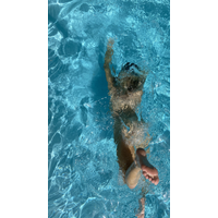 2268x4032_17578fa3410dd5df772c6a8c03c78c84-ZPLTbw3b.jpg