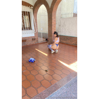 2268x4032_1d4c3e85f886187dad9f524aff8dc63c-3jGwOMPi.jpg