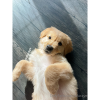 3024x4032_15d686bbd66656650b55f2e0394d1cc7-hgZkmYcO.jpg