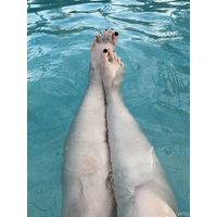 3024x4032_9bb01bd45c297066720b224845043e6d-2exqyEoN.jpg
