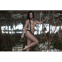 3840x2560_2b07d427acc16abef1246a91c93dbddb-99vjdKY4viV190cVtwj6ibyORVW7xxt5.jpg