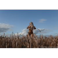 3840x2560_e43d87858a1aa7a67dad341e0ec14913-cCMfA1E0.jpg