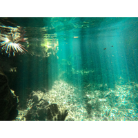 3840x2880_9a6f0a6b7edb9e5410cf938d73512ea4-3FclHp6n.jpg