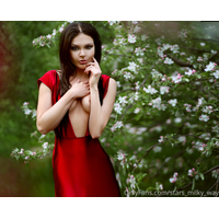 3840x3089_f8bb5b4331bc56cba64d2569e878763d-YTkW0IOIlpY0MD85SG5o7I2gQaIPAlTE.jpg
