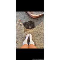 463178544361517056_preview-ArPIILdO.png