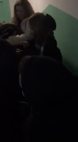 64de40de72b1b7d2a0094b2dbb025978-x6I6eykG.mp4