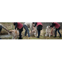 75304896_external_DSC_5652-2-n2Fp3Fe1qbHEAW6Efm0L65PMTavQ0577.jpg
