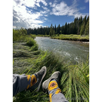 768x1024_295d155696d73c40361ca4e39aff4461-Z6cV0Cm1.jpg