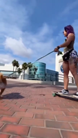 A74ACDD9DC3803608A7E38D53AE238BF_video_dashinit-SryJPIj9.mp4