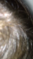 BeluOttobri-j2bTTbk4.mp4