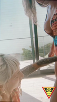 CHa05dddf0-1b92-445f-bbe2-5511bfcd04cc_1080p-f5MFvLFA.mp4