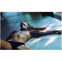 Dominicana_134-mCiM6ZlBPetknNLzTP8s3MgKdzASYJZ2.jpg