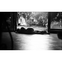 Dominicana_141-xX2Uz8ItngcTW3piER5owshRPOTRNJIa.jpg