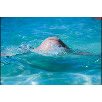 Dominicana_175-fz45z71Ogmk9AdvBrF6p6P1Fcx6MJodW.jpg