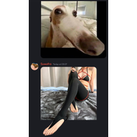 IMG_4257-2-Ew7fqcB5.png