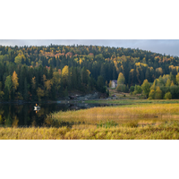 Karelia_7-dXRxGONR.jpg