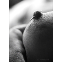 Macro-strasti_10-zB8TSLoOTDQUP8f39BcOHQuHbO2aM4Hm.jpg