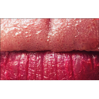 Macro-strasti_19-noqRxdE3v7JhEoR94NpMSTE9cMUyu2Gc.jpg