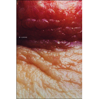 Macro-strasti_21-apAHDdAzMrv5Zyfw9e1JC9Sd7X3nrRSC.jpg