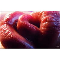 Macro-strasti_25-bIN14hPBLOItJiWsTjgjXDVSS1Rbe4r6.jpg