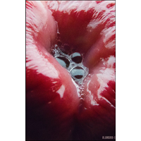 Macro-strasti_26-WD6W777d9JZ8KlBD6987Pwa0HqZe90EP.jpg