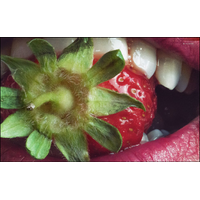Macro-strasti_31-Uab3rGrFMYKKS6UIZP8Nnqpqs17xbGXj.jpg