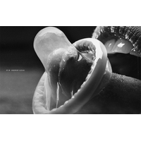 Macro-strasti_35-Vx6qNVwGY4ZT9WsMdIzH8rk8EHMGaU59.jpg