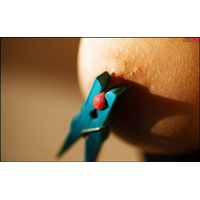 Macro-strasti_38-6b2ldzcXTIIRxLonE8N92Xi8etPg68PX.jpg
