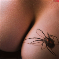 Macro-strasti_4-xuukIV7L6VOX0e2rQkQIRXGxLztxLO1C.jpg