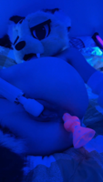 MagnificentGoodnaturedLobster-fKbP80eL.mp4