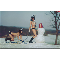 Snowflake_5-0fbxpI2YlLg6dNAoYzKiCXFqc7MTLu8r.jpg