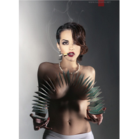 Wall_3559-n19u3OvlbcO5VaGuOjc4NmGakh3DpMYk.jpg