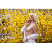 Yellow_3-PQHBatd8.jpg