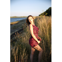a2fb2183ff466a817e43ac77a4f9537923529-s4fqerfm.jpeg