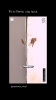 alice.scarlett__20240309_STORIES_3320272521645830194_5_3320333802608556911-tWU63KJS.mp4