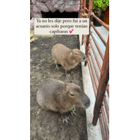 alice.scarlett__20240327_STORIES_3332788849908798262_1_3332788849908798262-gkrvEBHl.jpg
