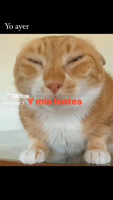 alice.scarlett__20240425_STORIES_3354425379953871411_5_3354812493199091613-6lYvf4Uo.mp4