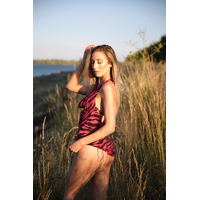 bb6e4d4ab1d4e465630dae1013ee2332840474-BXhPM4Bg.jpeg