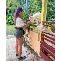 cynthialeu_1696550465_3207220219521148781_5266830-7pxHiUwf.jpg