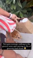 cynthialeu_1699913029_3235427524825324514_5266830-F6E8ZVS9.mp4