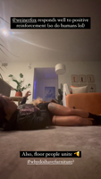 cynthialeu__-1054760372-62VE4F0D.mp4