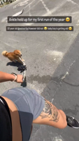 cynthialeu__-1386281298-TtXYz12G.mp4